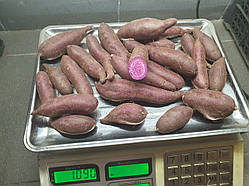 Батат дрібний із фіолетовою м'якотю 💜🍠