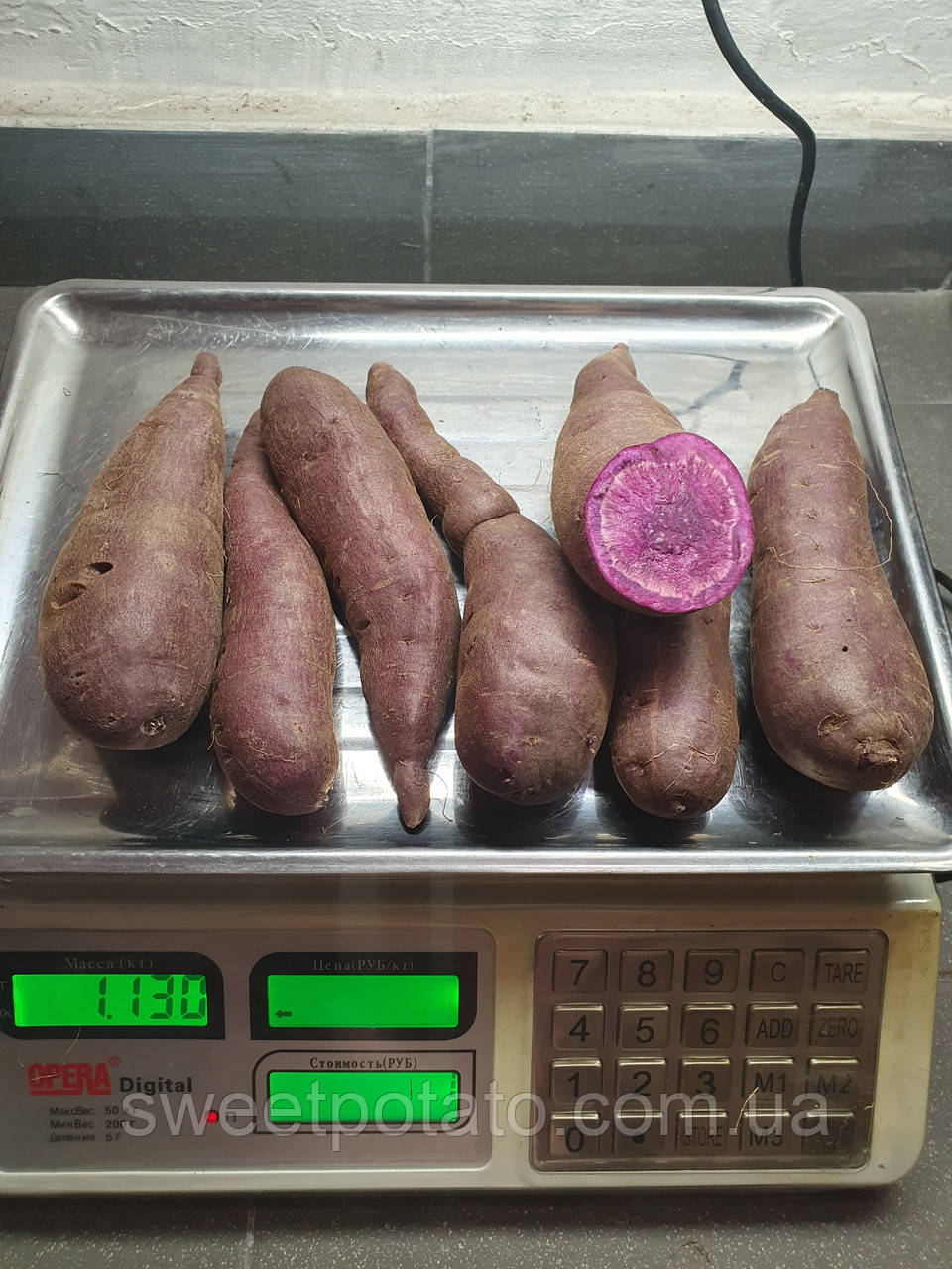 Травмований фіолетовий батат 💜🍠