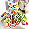 Набір магнітів "Фрукти та овочі" (50 штук) | Magdum (ML4031-15 EN), фото 6