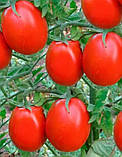 Насіння томата Новачок червоне 100 штук, фото 2