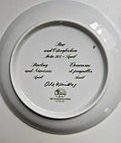 Порцелянова тарілка Hutschenreuther Птахи-Апріл, фото 4