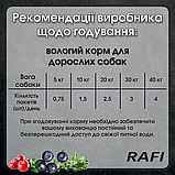 Dolina Noteci Rafi DOG Pouch Adult with Game вологий корм для собак з дичиною 500г, фото 3