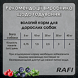 Dolina Noteci Rafi DOG Pouch Adult with Duck вологий корм для собак з качкою 500г, фото 3