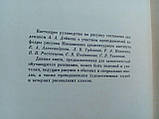 Дейзі А. Вчіться малювати. (б/у)., фото 6