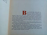 Дейзі А. Вчіться малювати. (б/у)., фото 7
