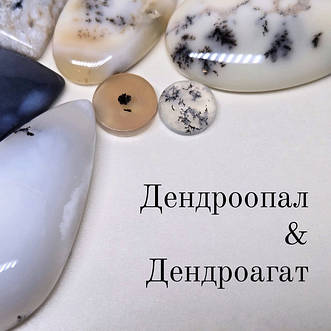 Дендроопал