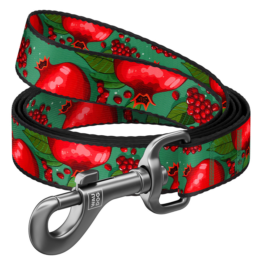 Повідець для собак нейлоновий WAUDOG Nylon, малюнок "Гранати", M, Ш 20 мм, Дов 300 см, фото 1