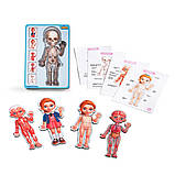 Пазл Анатомія людини, дівчинка, Ань-янь, дерево, 23 х 16 см., 38 дет. (ПСФ025), фото 5