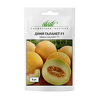 Диня Професійне насіння Галанет 8 насінин