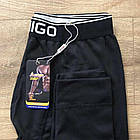 Термо штани кальсони, підштаники, Батал, великі розміри на флісі, чоловічі Amigo Преміум, фото 2