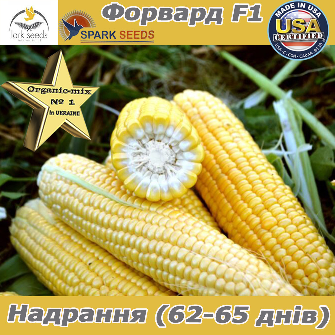 Надрання, цукрова кукурудза ФОРВАРД (1709) F1, Spark Seeds (США), фото 1