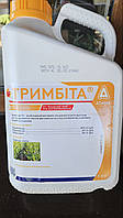 Протравник Тримбіта 5 л (Інсекто-фунгіцидний)