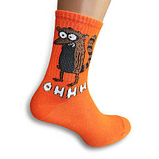 Шкарпетки Єнот Рігбі Regular Show помаранчеві р.36-40
