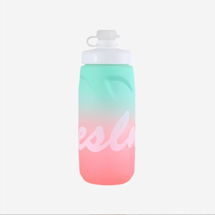 Фляга EsLNF 620 мл., бірюзовий з рожевим (YLB-28-summer-pink)