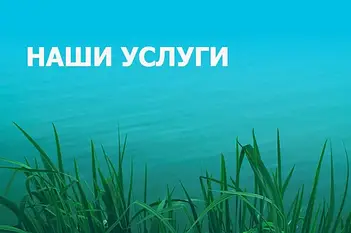 НАШІ ПОСЛУГИ
