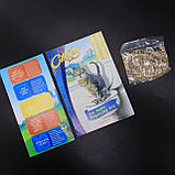 Набір для привчання кішки до унітазу CitiKitty / Котячий туалет / Накладка на унітаз для котів, фото 9