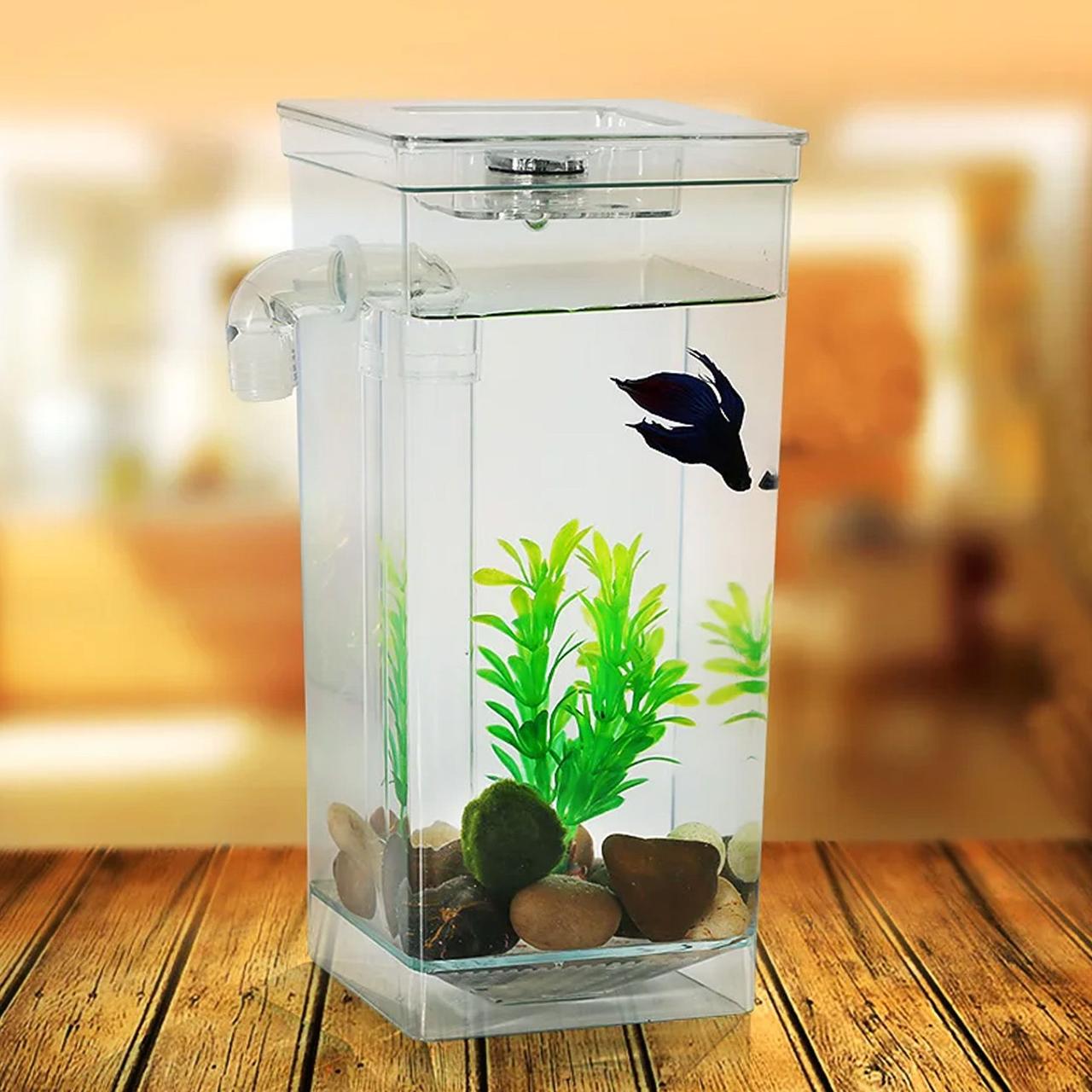 Акваріум самоочисний 2л, з LED підсвічуванням, My Fun Fish / Маленький акваріум для рибок з удароміцного пластику, фото 1