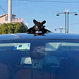 М'яка іграшка на машину Дракон Беззубик, з присосками, 20см, Чорна / Плюшева іграшка дракон, фото 6