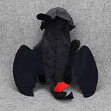 М'яка іграшка на машину Дракон Беззубик, з присосками, 20см, Чорна / Плюшева іграшка дракон, фото 7