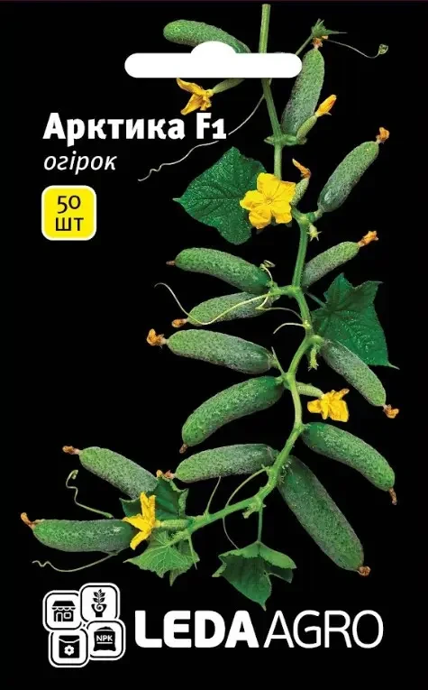 Леда Огірок Арктика F1, 50 шт, фото 1