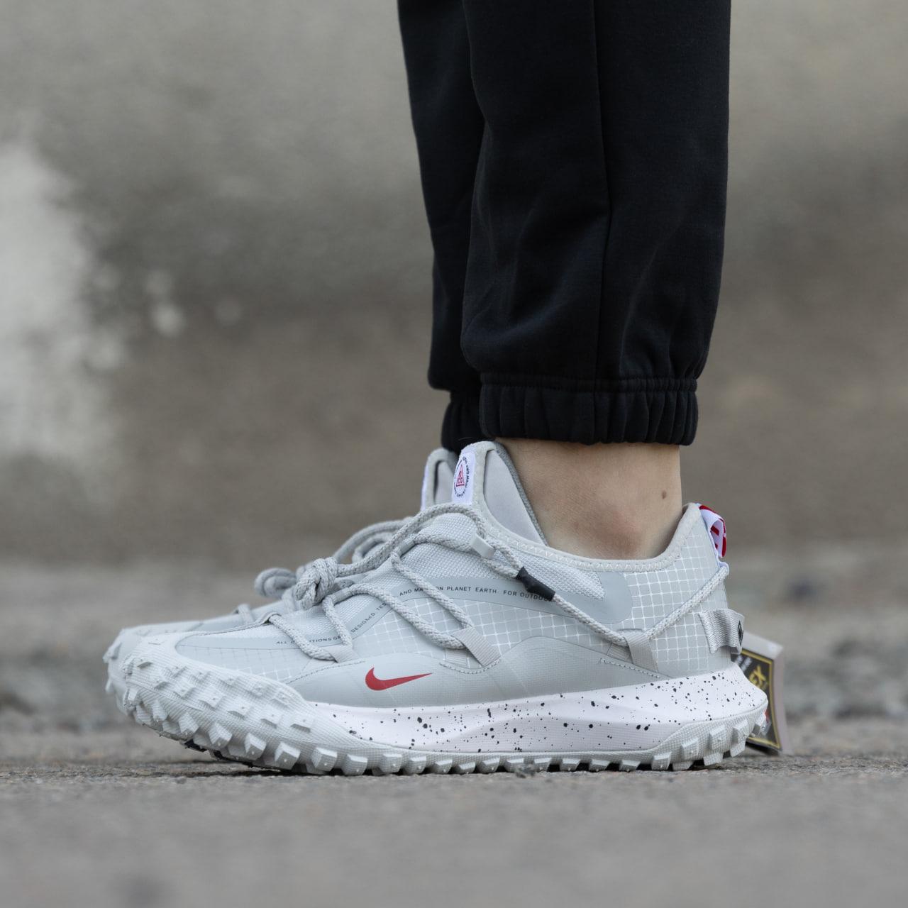 Зимові Чоловічі Кросівки Nike ACG Mountain Fly Low Gore-Tex Grey / Найк АСГ Маунтін Флай Гор Текс Низькі Сірі