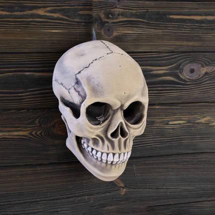 Череп світильник настінний ABC, фото 1
