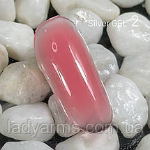 Silver GEL 02 25гр., фото 2