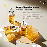 Ампульна сироватка з екстрактом прополісу Dr.Ceuracle Royal Vita Propolis 33 Ampoule 30 мл, фото 4