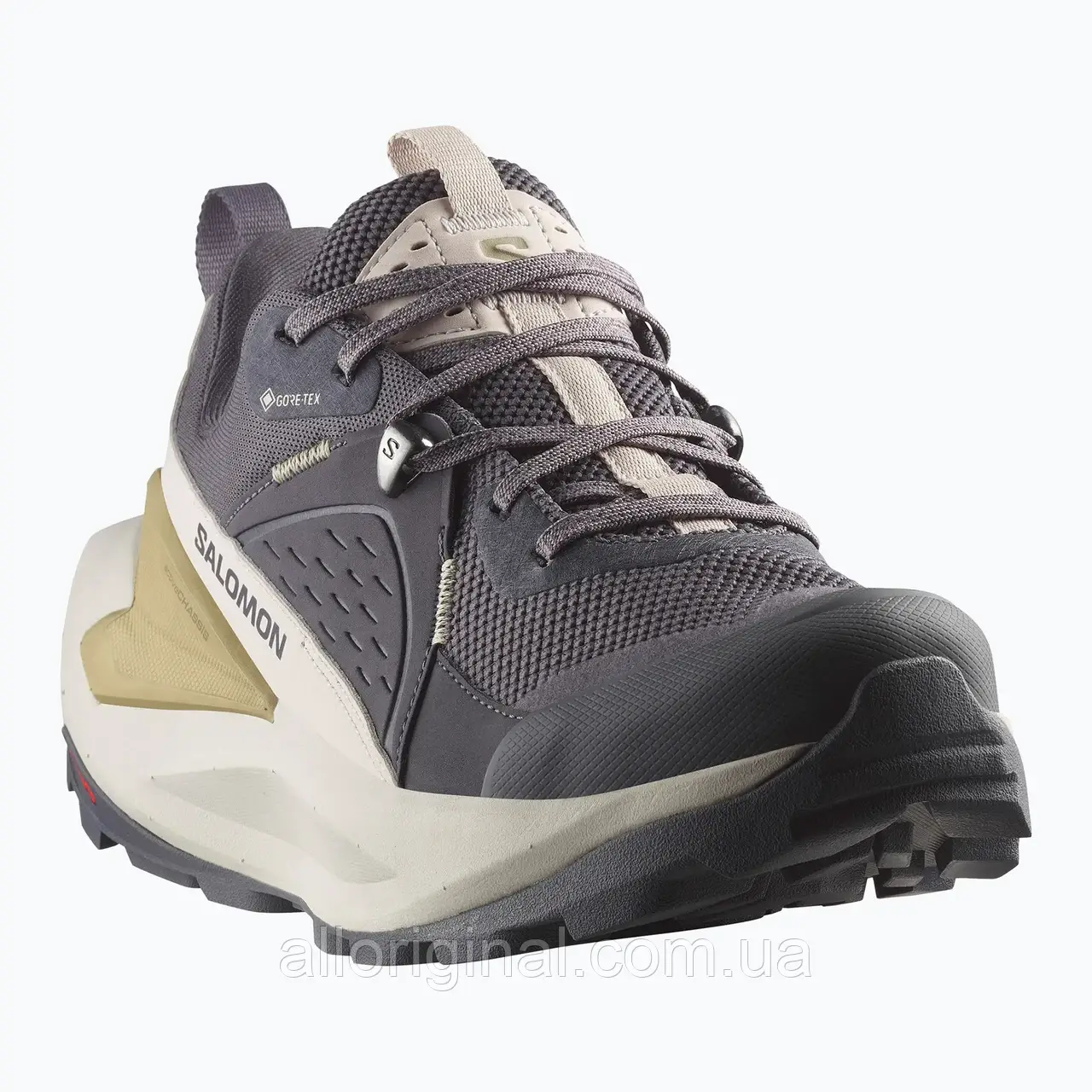 AllOriginal com ua Жіночі туристичні черевики Salomon Elixir GTX 9 дев'ять залізо/срібна хмара/губка РОЗМІРИ