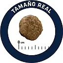 Сухий корм для кішен ADVANCE Kitten 1,5 кг, фото 7