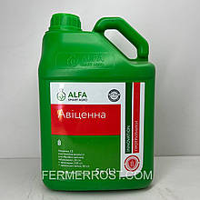 Протруйник Авіцена (Alfa Smat Agro) 5л
