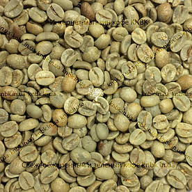 Арабіка Бразилія Сантос (Arabica Brazil Santos) 200г. ЗЕЛЕНА кава