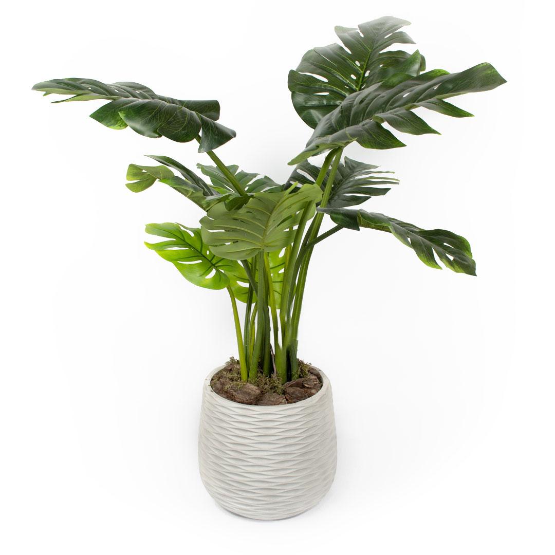 Штучна рослина Monstera 110cm в кашпо (TW-0486-1), фото 1