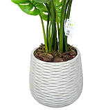 Штучна рослина Monstera 110cm в кашпо (TW-0486-1), фото 3