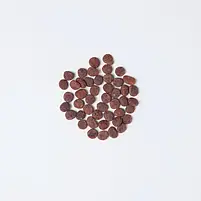 Сухий корм для дорослих кішок Carnilove True Fresh Cat Turkey з індичкою 4.8 кг, фото 2