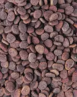 Сухий корм для дорослих кішок Carnilove True Fresh Cat Turkey з індичкою 4.8 кг, фото 4