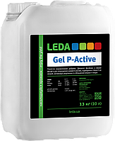 Добриво P-Active (4-38-17), 10 л, Leda Gel