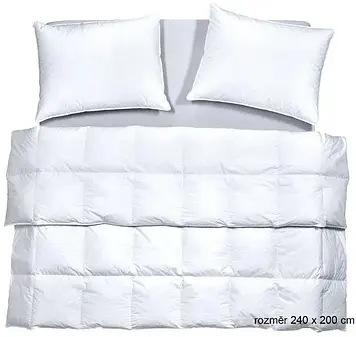 Ковдра SCANquilt péřová přikrývka COMTESSA PLUS