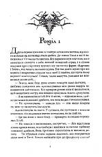 Книга «Кістки та Зоряний пил». Автор - Редгрейн Лебовські, фото 5