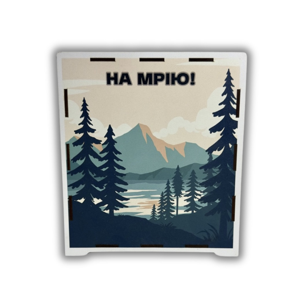 Скарбничка для грошей "На Мрію" 365 днів, з принтом #3, 23*20*12 см