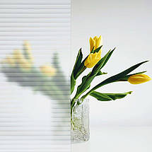 Плівка віконна на самоклейці 600*3000 (D) SW-00002166, фото 3