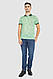 Поло чоловіче з принтом, колір зелений, 247R316, фото 2