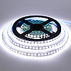 Світлодіодна стрічка біла 60 SMD (35\28)12V / 5 м -  В СИЛИКОНЕ, фото 3