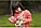 Пупс My garden baby  Лялька Кошеня для годування та сповивання GYP09 HHL21, фото 7