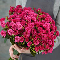 Саджанці троянд Лавлі Лідія (Lovely Lydia)