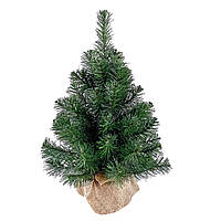 Ялинка у горщику 50 см зелена Classic Hvoya