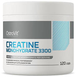 Креатин OstroVit Creatine Monohydrate 3300 mg (120 капсул.)