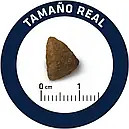 Сухий корм ADVANCE Mini Adult 700 г для дорослих собак маленьких порід, фото 8