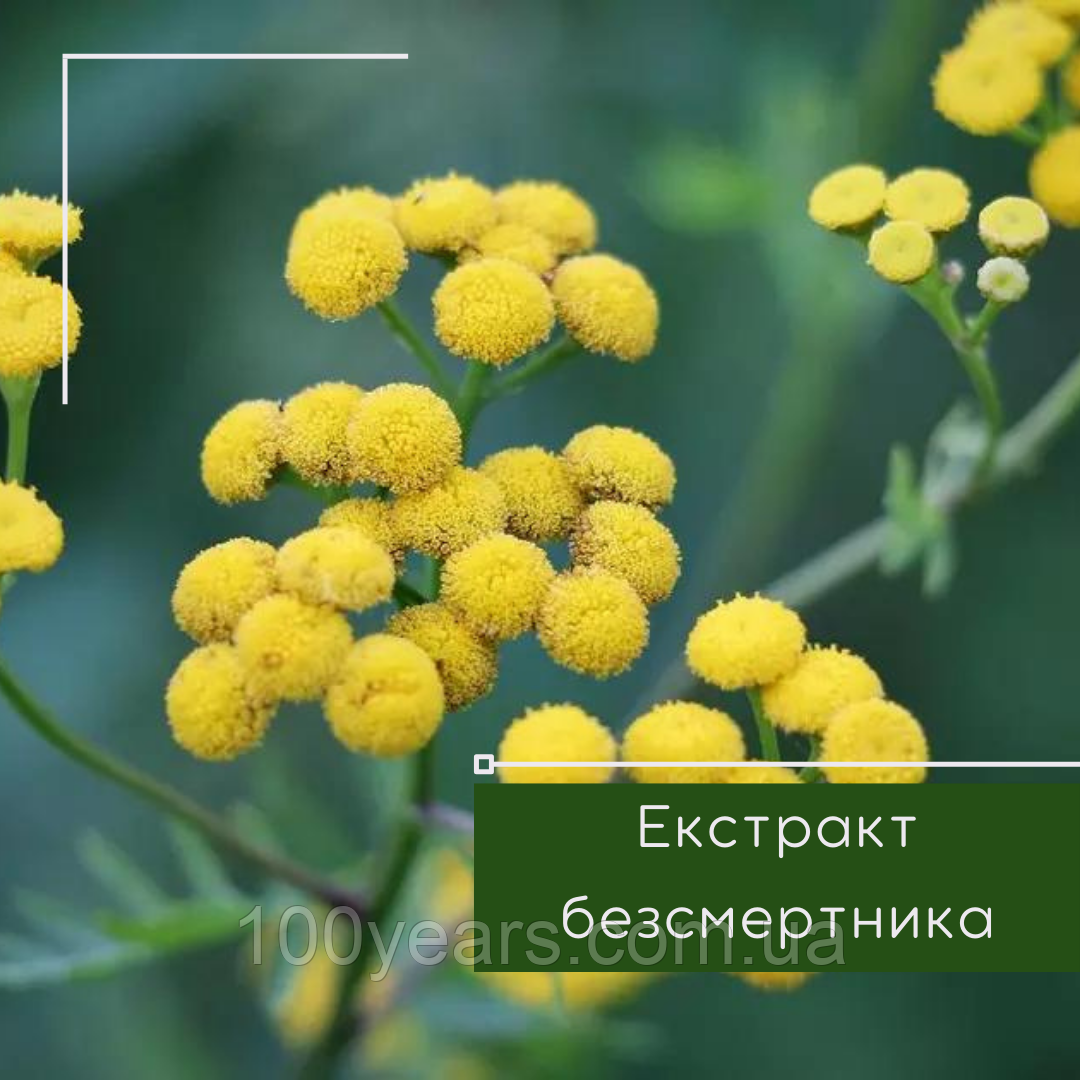 Екстракт безсмертника 50 мл