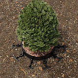 Бордюр ландшафтний пластиковий Н45 L1000 чорний, фото 2